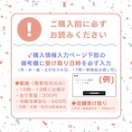 Calbee ポテトチップスコンソメパンチ味 472g