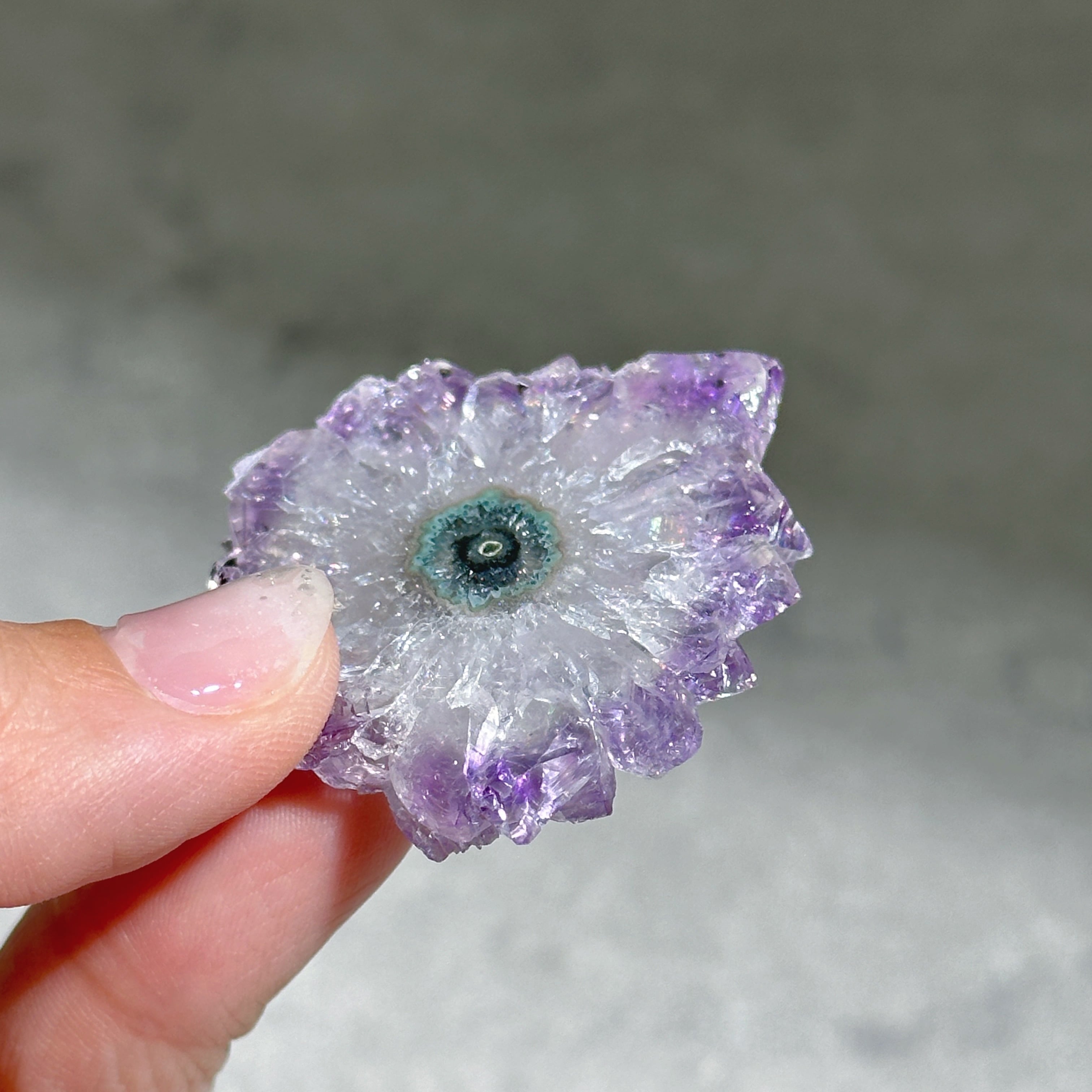 フラワーアメジスト スライス34◇ Flower Amethyst ◇天然石・鉱物
