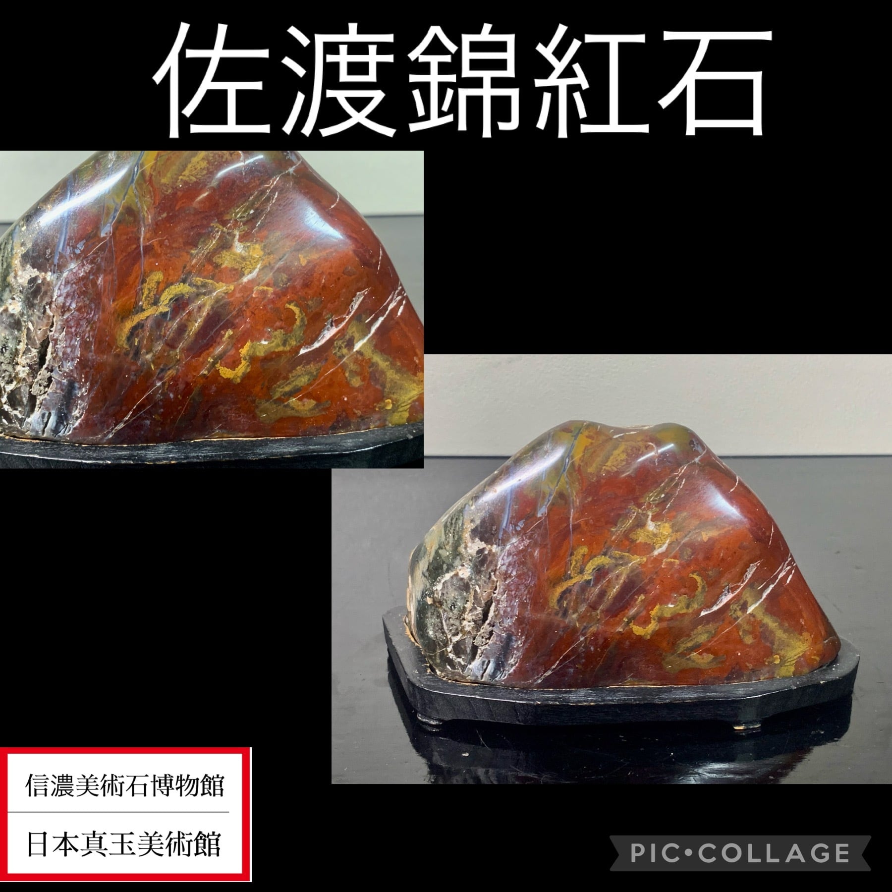 盆栽 【艸】 佐渡 錦紅石 水溜まり 赤玉 黄玉 水石 幅15センチ 20apl2