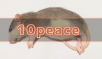 冷凍ﾗｯﾄ L 100~130g ± 1Peace | BEST RODENT ベストローデント