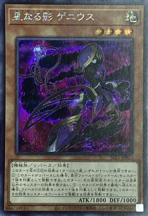 【Bランク】星なる影ゲニウス(シク)