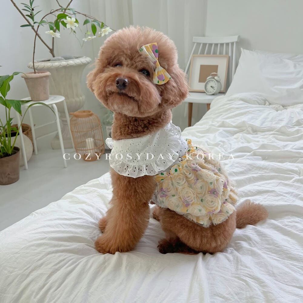 即納販売 lalaland hairpin ララランド ヘアピン（犬用ヘアピン）韓国
