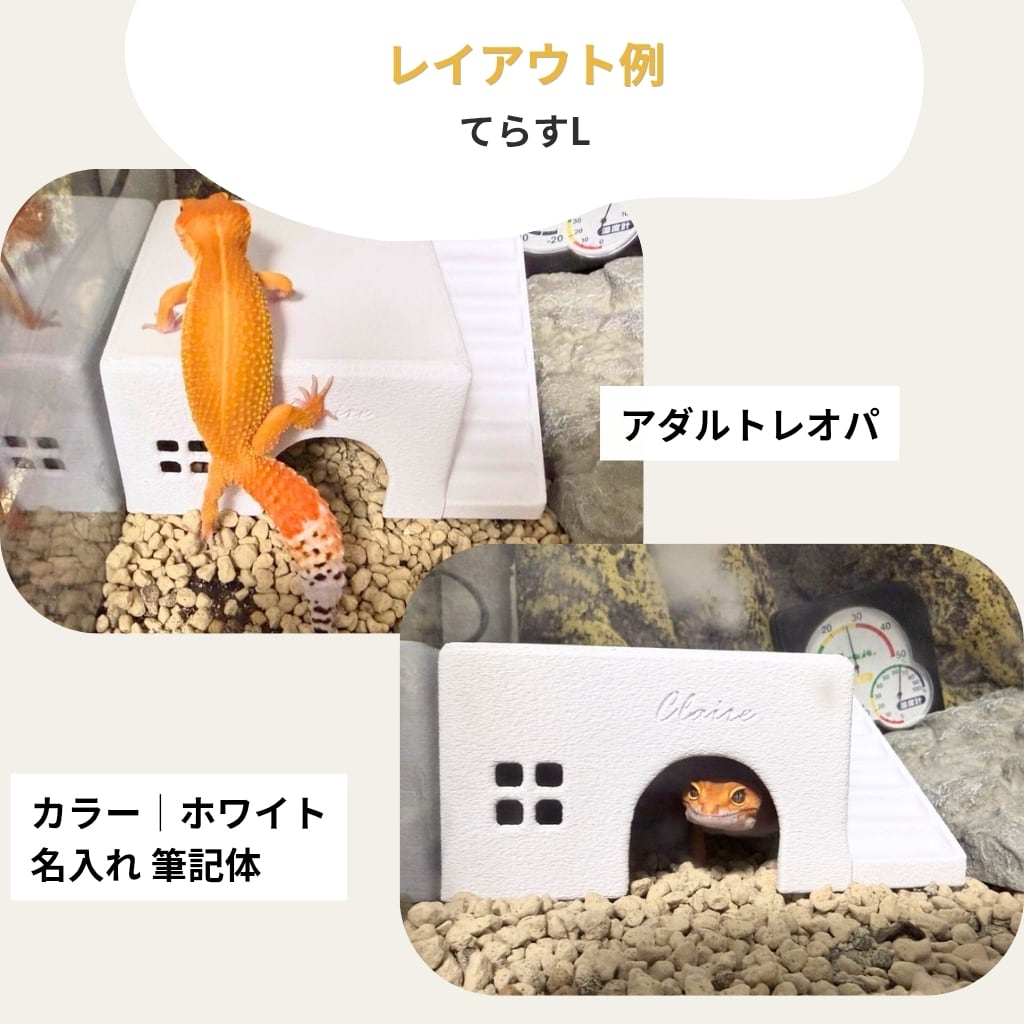 COKAGE【爬虫類シェルター てらす L】レオパ ニシアフ かわいい