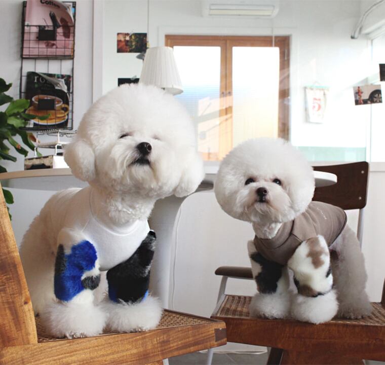 ミンクファー袖トレーナー S ~ XL 2color / 犬服 新作 ドッグウェア 小型犬 中型犬 犬 服 ジャケット ペット用品 ペット洋服