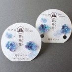 季節限定! あじさい