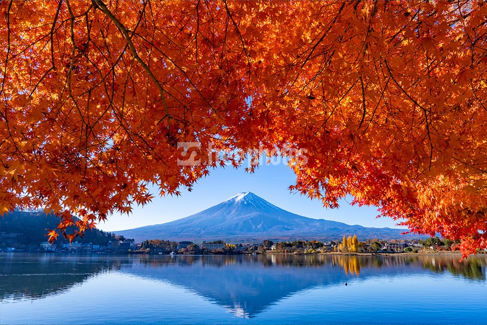 富士山ポストカード