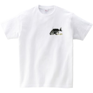 クロダイ チヌ Tシャツ rf19 海釣り ルアー釣り ちぬ フィッシング 釣り好き 釣り人 誕生日 父の日 敬老の日 ギフト プレゼント