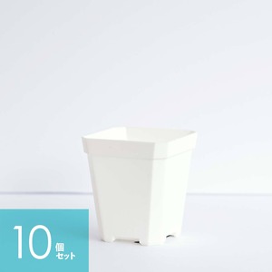 Solid Square Pot  7cm ホワイト 10個セット