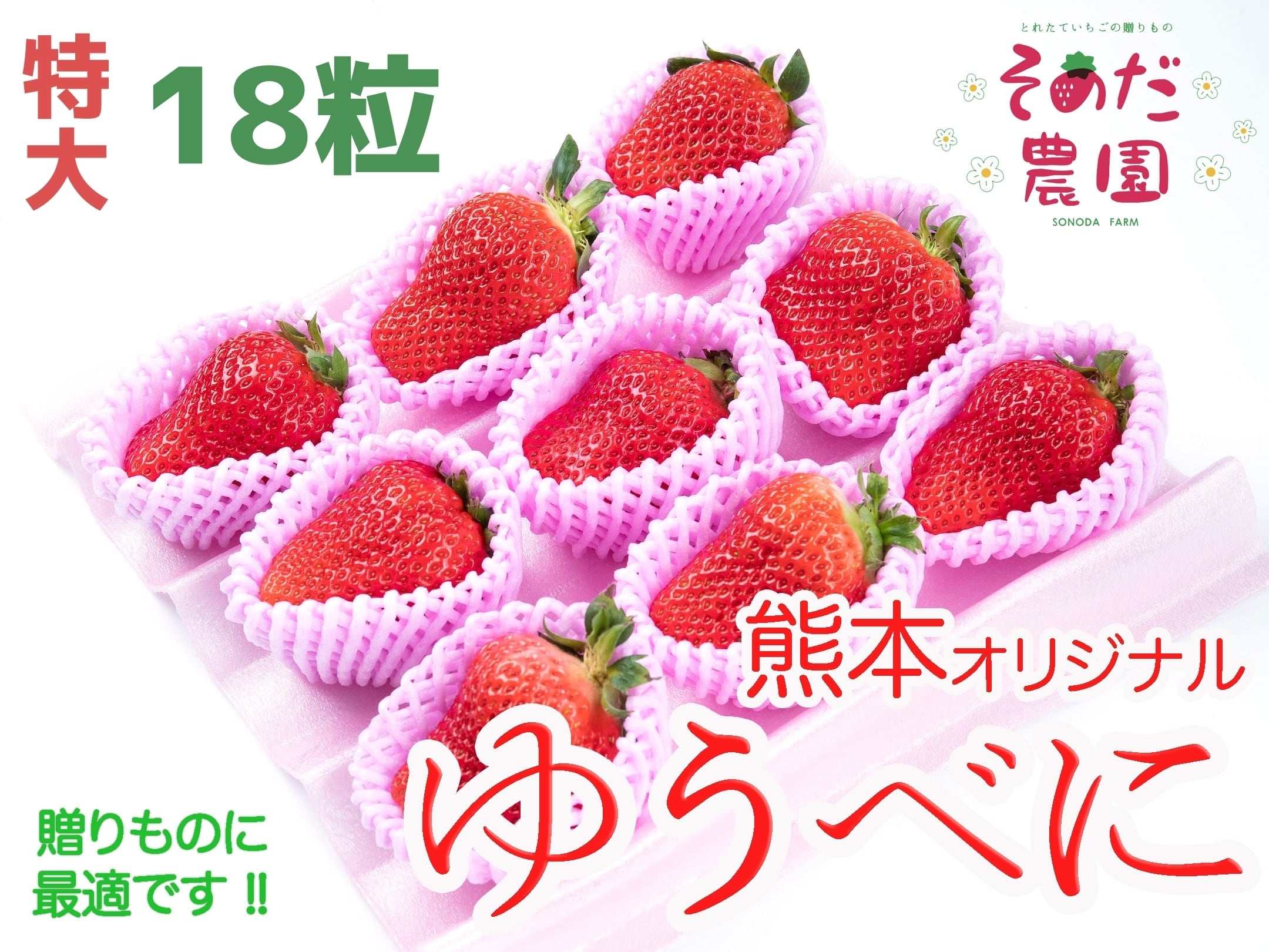 熊本オリジナル【ゆうべに】熊紅　いちご　大粒　２パック　１８個　園田農園