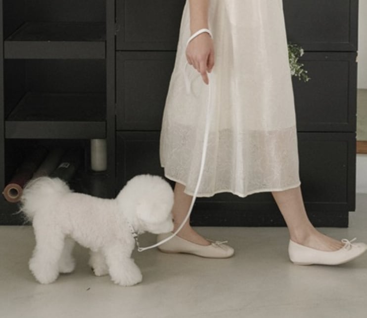 予約【stroll】Lumiere Leash (White)