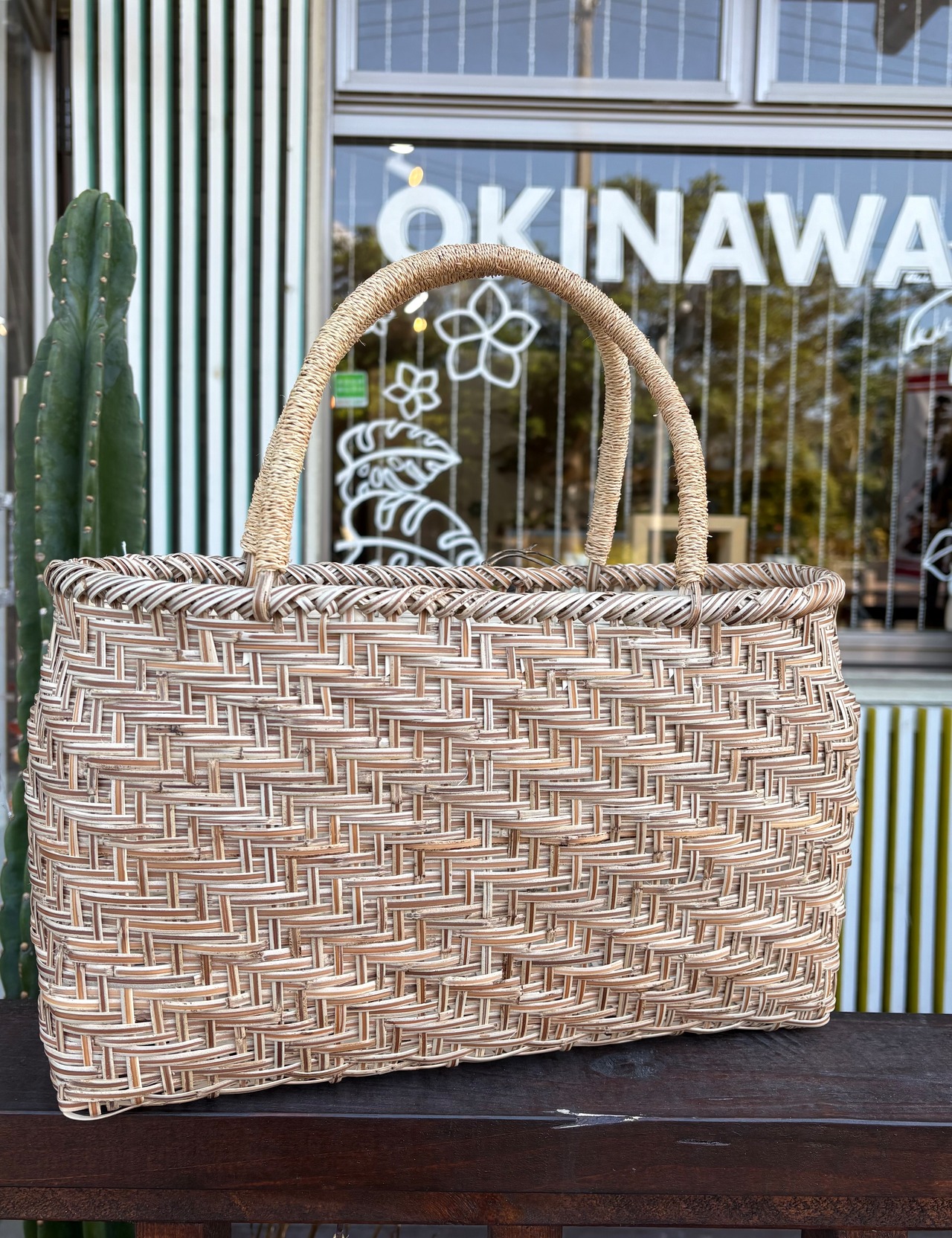 トウツルモドキのバック