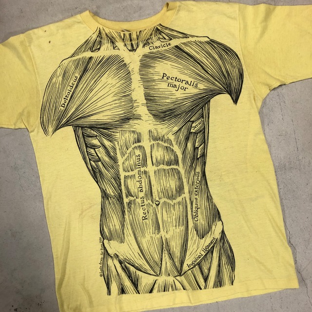 1970'S DELTOIDEUS YELLOW T-SHIRT