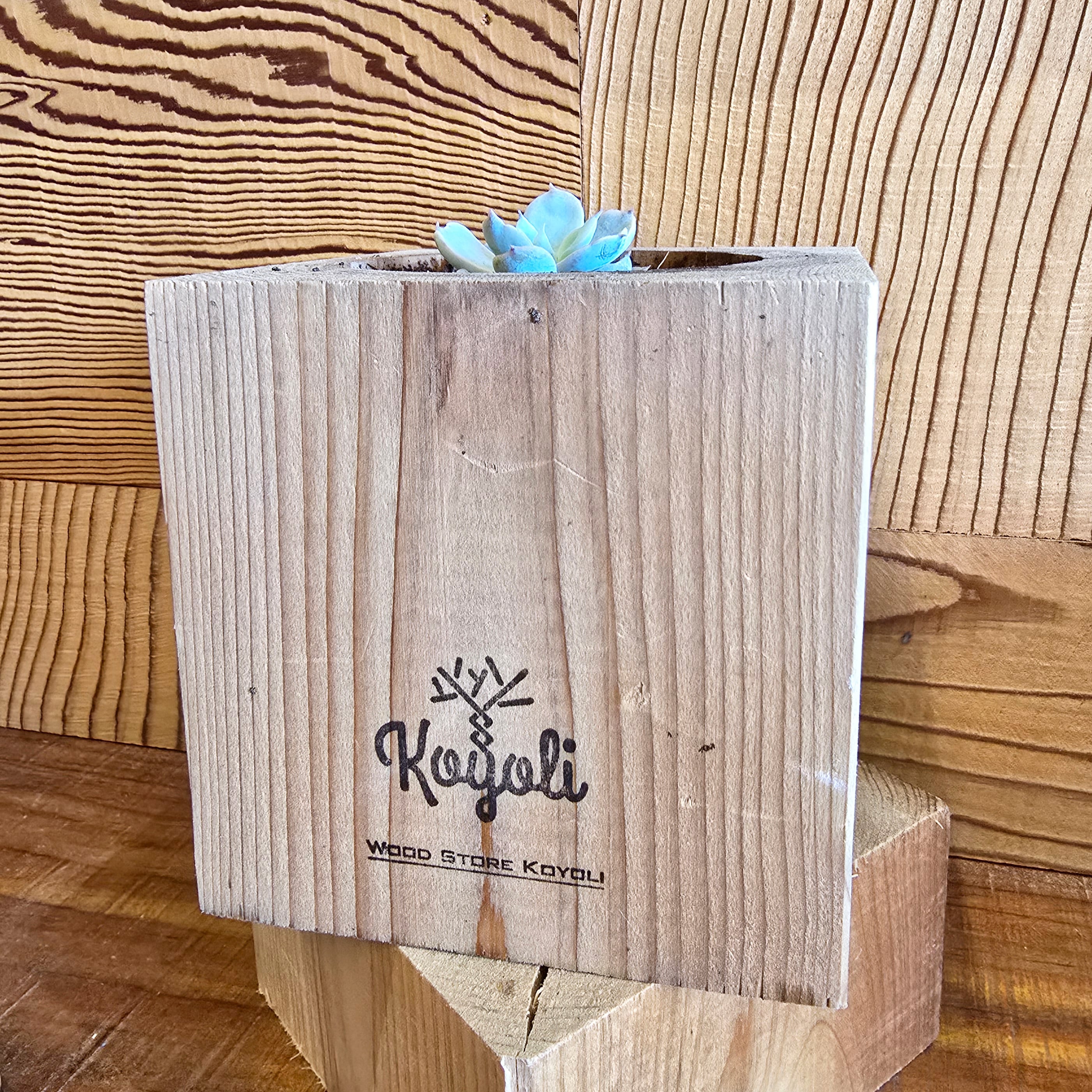 木の植木鉢 Short | Wood Store koyoli