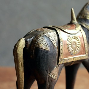 手放したくないほど美しい馬 20