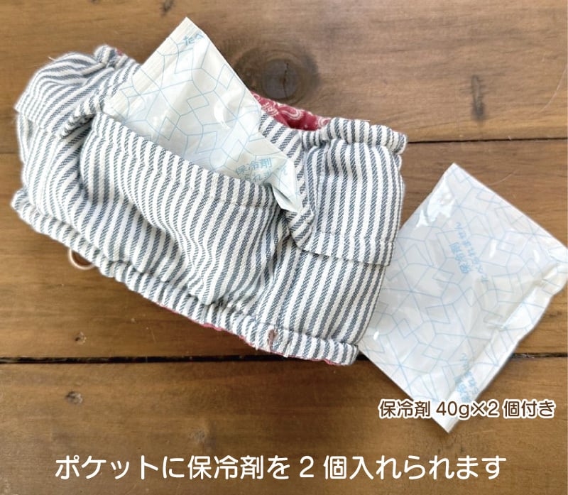 ダックス柄追加！わんこのうさみみリボンのクールネック