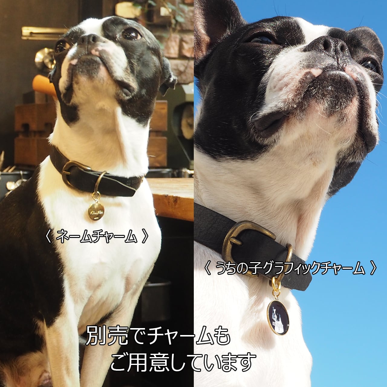 レザードッグチョーカー レタースクロール | LIBERTAS TOKYO