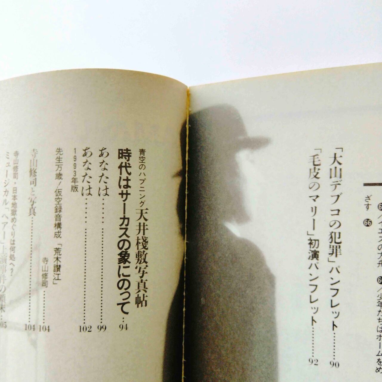 古本］毎日グラフ別冊 寺山修司 反逆から様式へ | いくら書店 