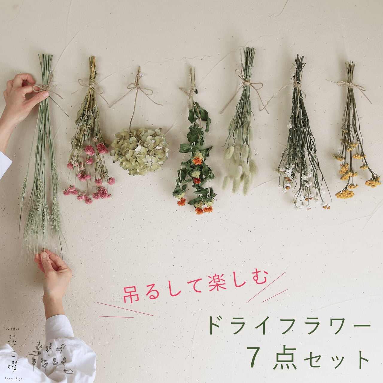 吊るして楽しむ♪ ドライフラワー7点セット * あじさい枝付き 吊るして楽しむ♪ ドライフラワー7点セット * あじさい枝付き