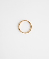 ブリックリング/020126