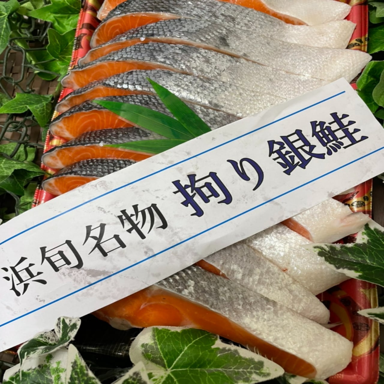 拘り銀鮭　京のひもの屋浜旬　ギフト　hamashun　鮭の専門