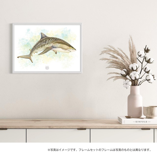 【海のいきものアートポスター／魚】イタチザメ