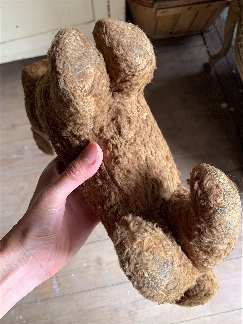 犬のぬいぐるみ ダックスフンド | Brocante de La Cocotte （フランス