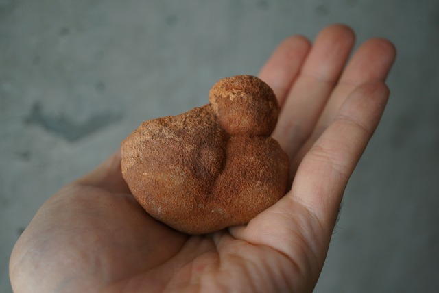 モロッコ産ストロマトライト Stromatolite 1619