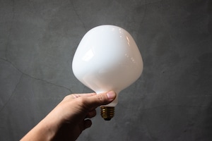 LED Bulb(NT130)