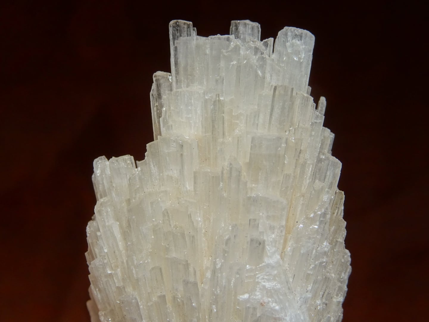 スコレサイト ~月の神殿~