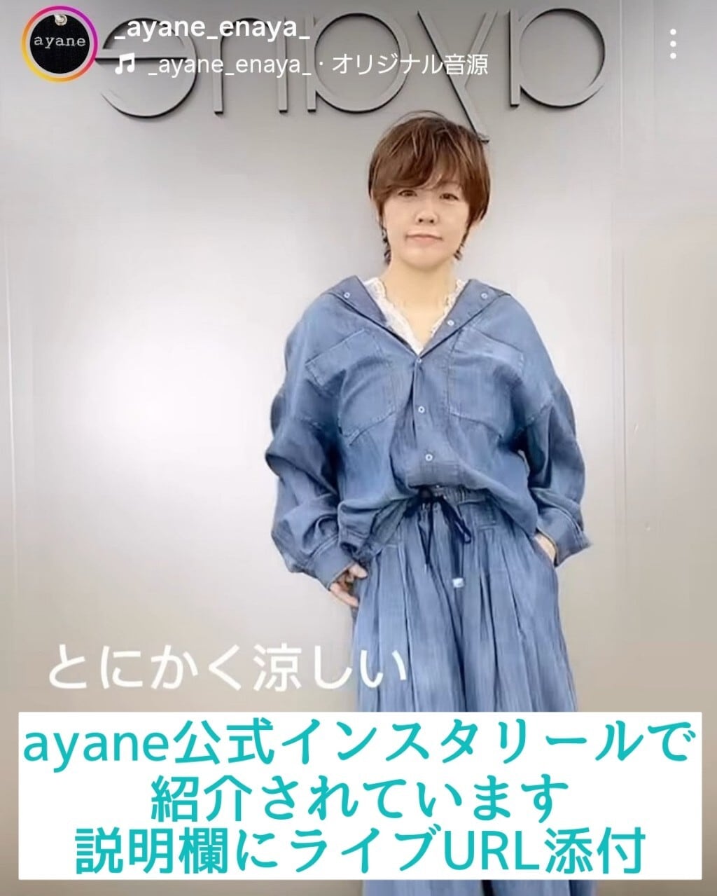 SALE【ayane】シアーデニムタックワイドパンツ 816304 アヤン | red earth