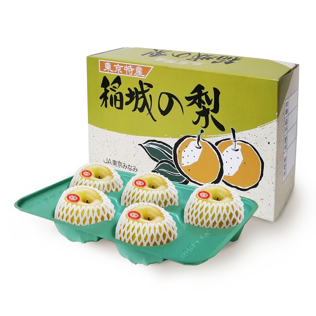 稲城の梨「新高」5～6個　特選大玉 4kg