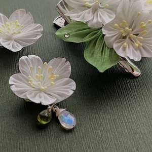 はじまりの桜　耳飾り