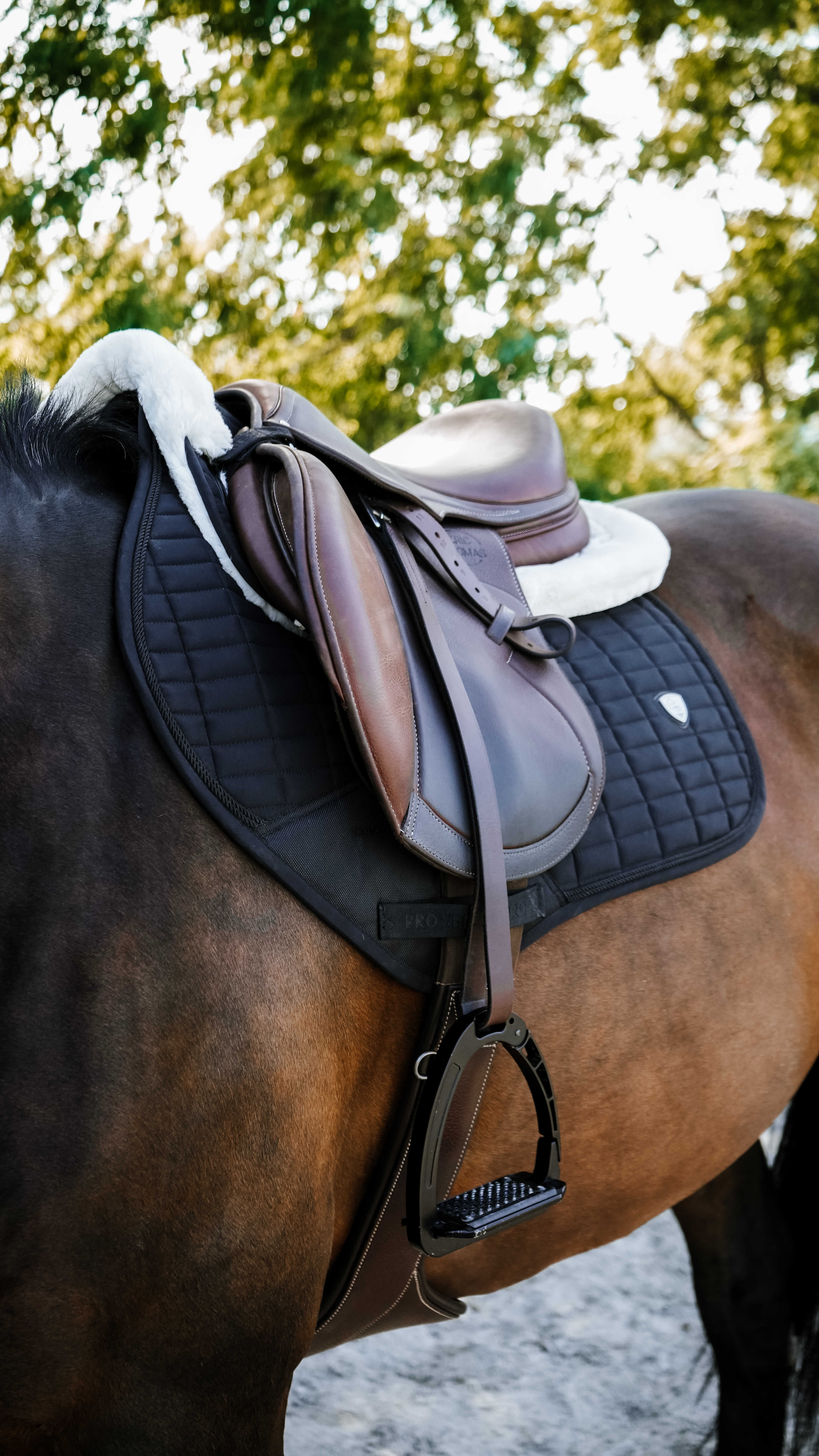 馬 | 馬具・乗馬用品 P-joux