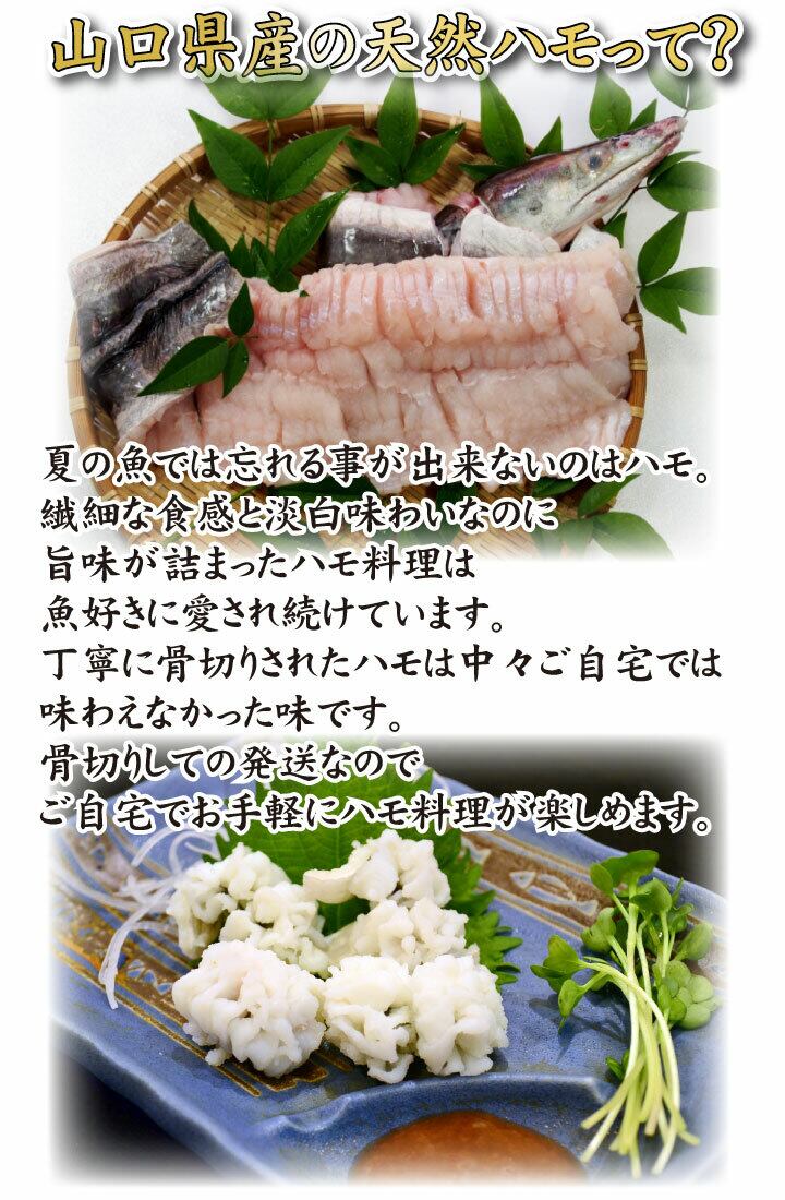 1周年記念イベントが ハモ 湯引き 梅肉 酢味噌 付 下関 山口 Fucoa Cl