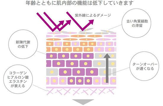 REVIVE VCP12 エッセンス 50ml | BeautyPlusビューティプラス