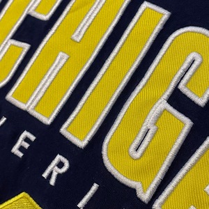 【PROEDGE】カレッジ ミシガン大学 Michigan Tシャツ アーチロゴ 刺繍ロゴ XL ビッグサイズ US古着 アメリカ古着