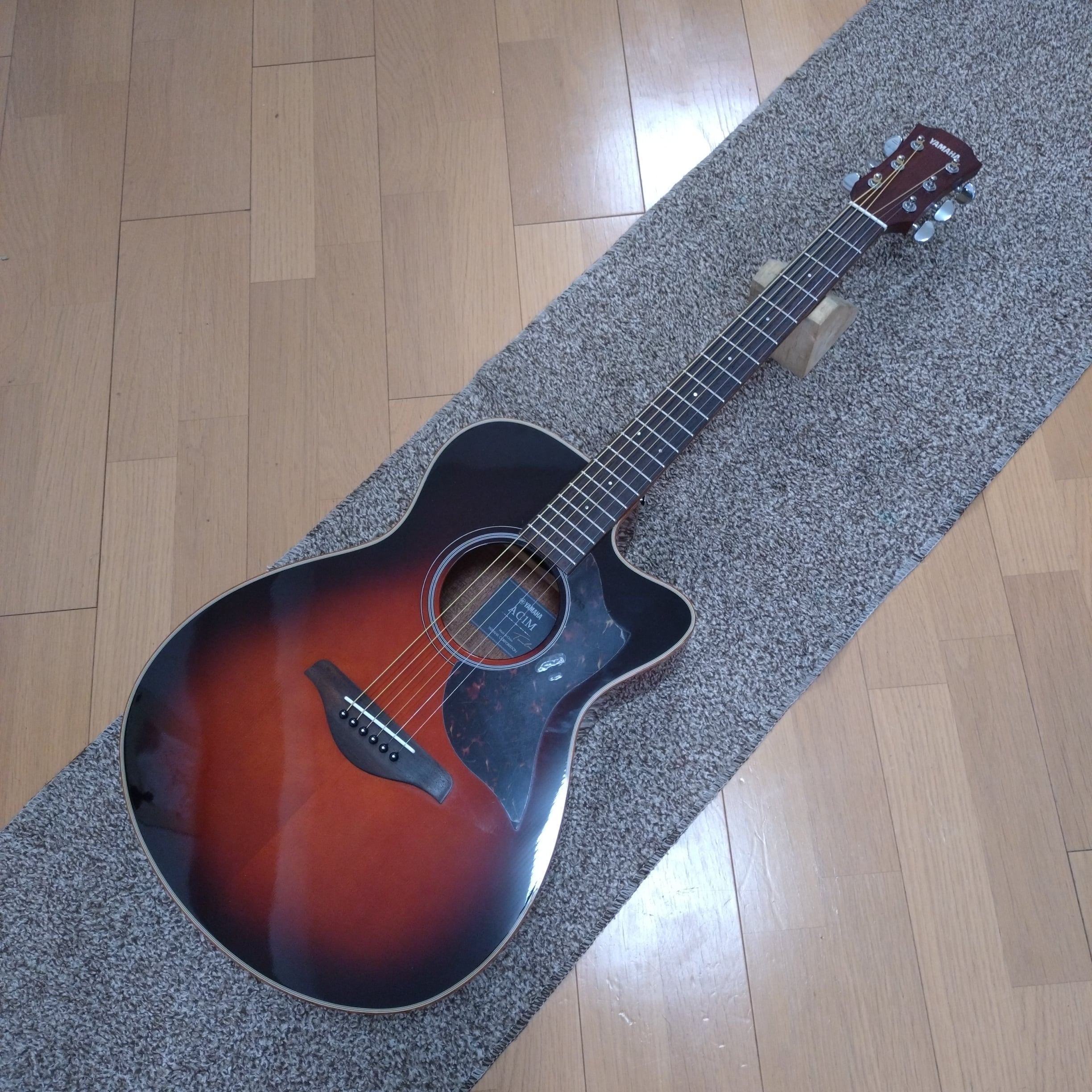 Ibanez フルアコギター AF-85 エレキギター | 川崎楽器【楽器Beginner