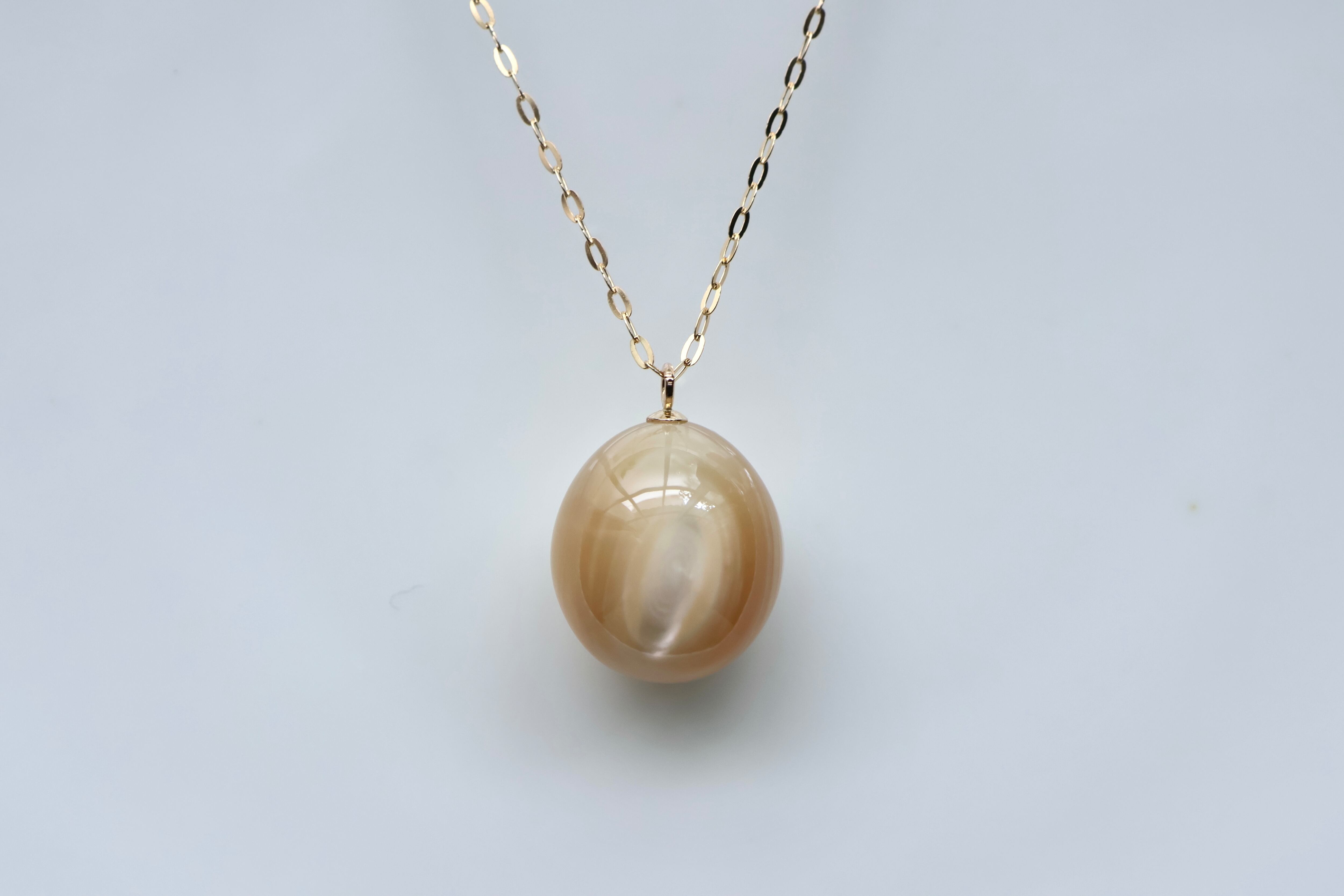 夜光貝のランプ　最終値下げします 夜光貝ランプJ-⑮ | 鹿児島県喜界町 | ふるさと納税サイト「ふるなび」