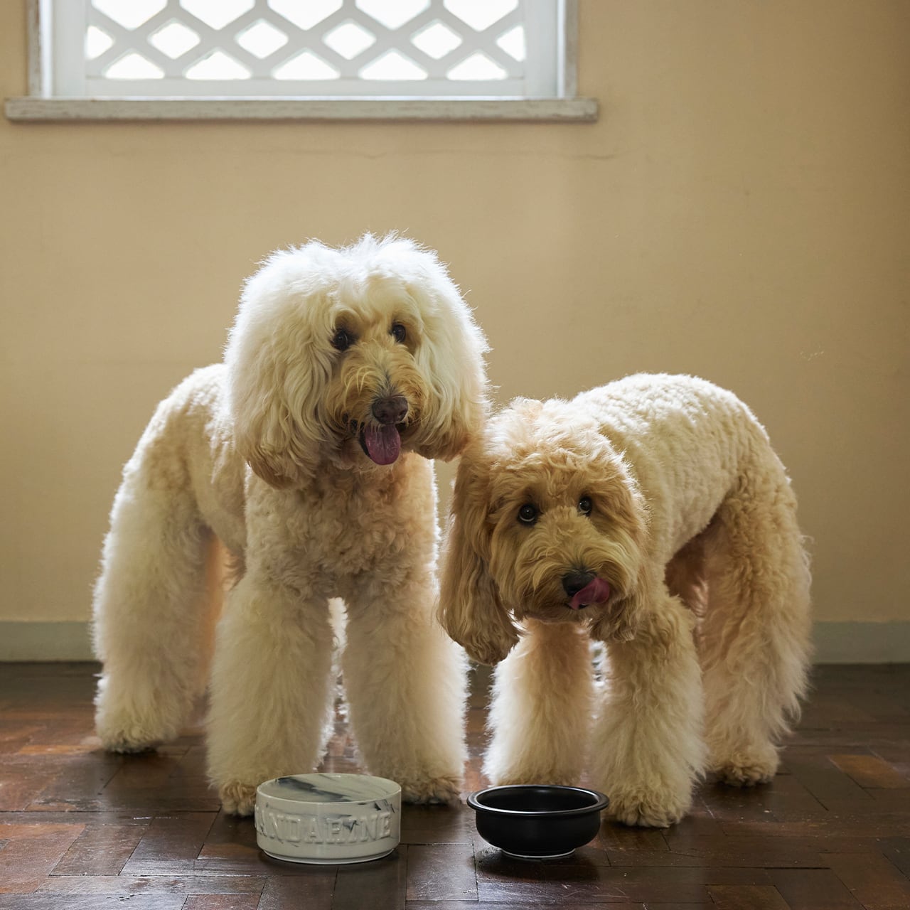 MARBLE COMBINATION BOWLS マーブルコンビネーションボウルズ