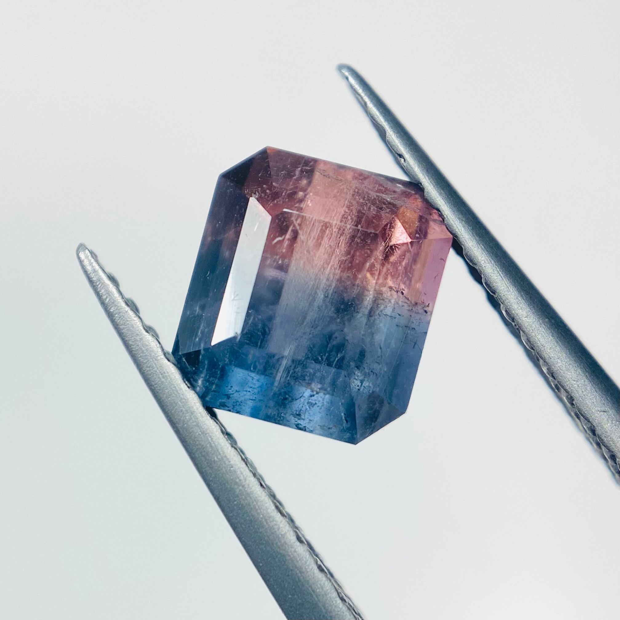 2色の紫陽花 バイカラートルマリン