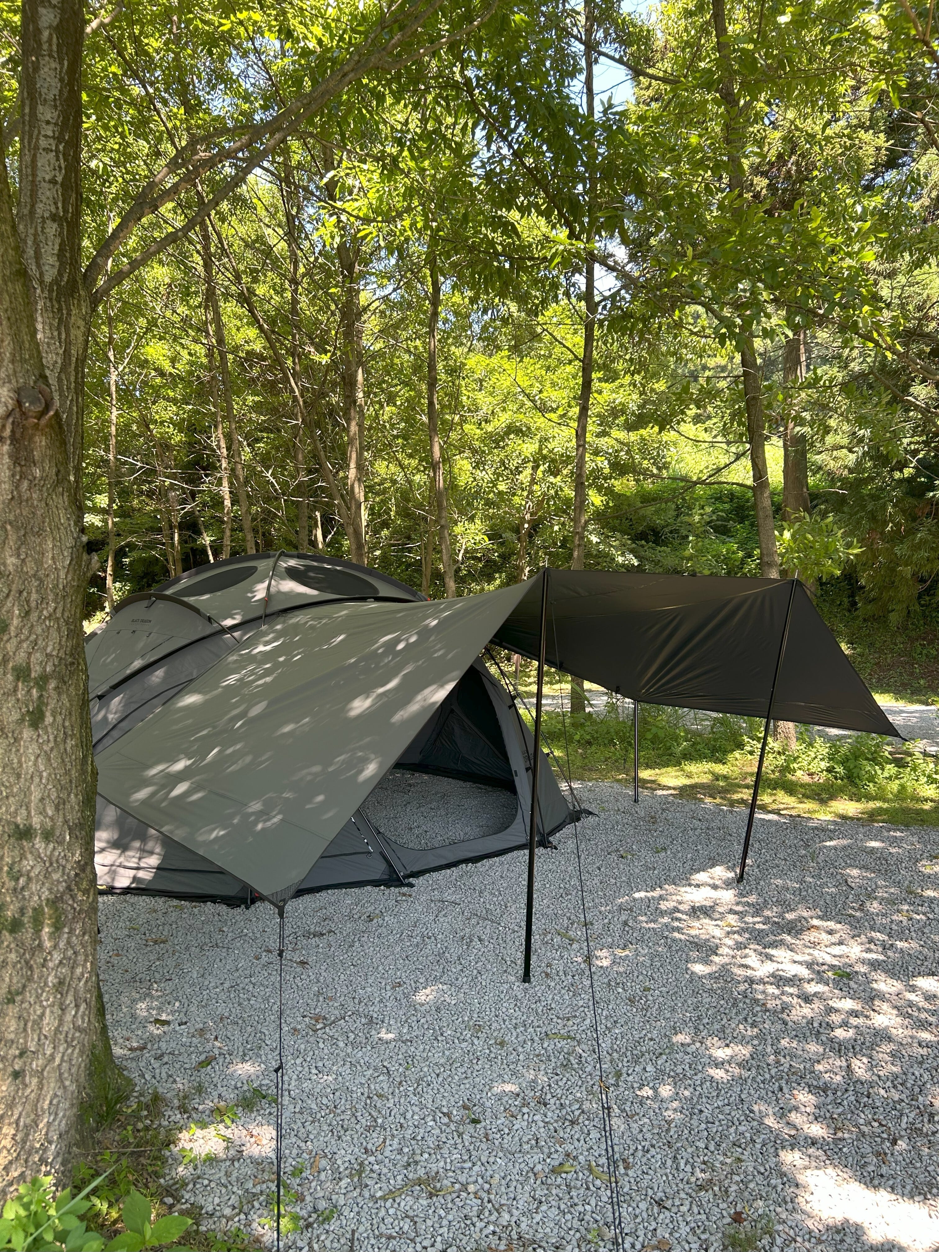 Purple] Black Dragon 450 Pro 専用タープ Exclusive Tarp 2224040007