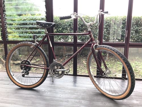 1983 Schwinn Sidewinder Sierra Brown