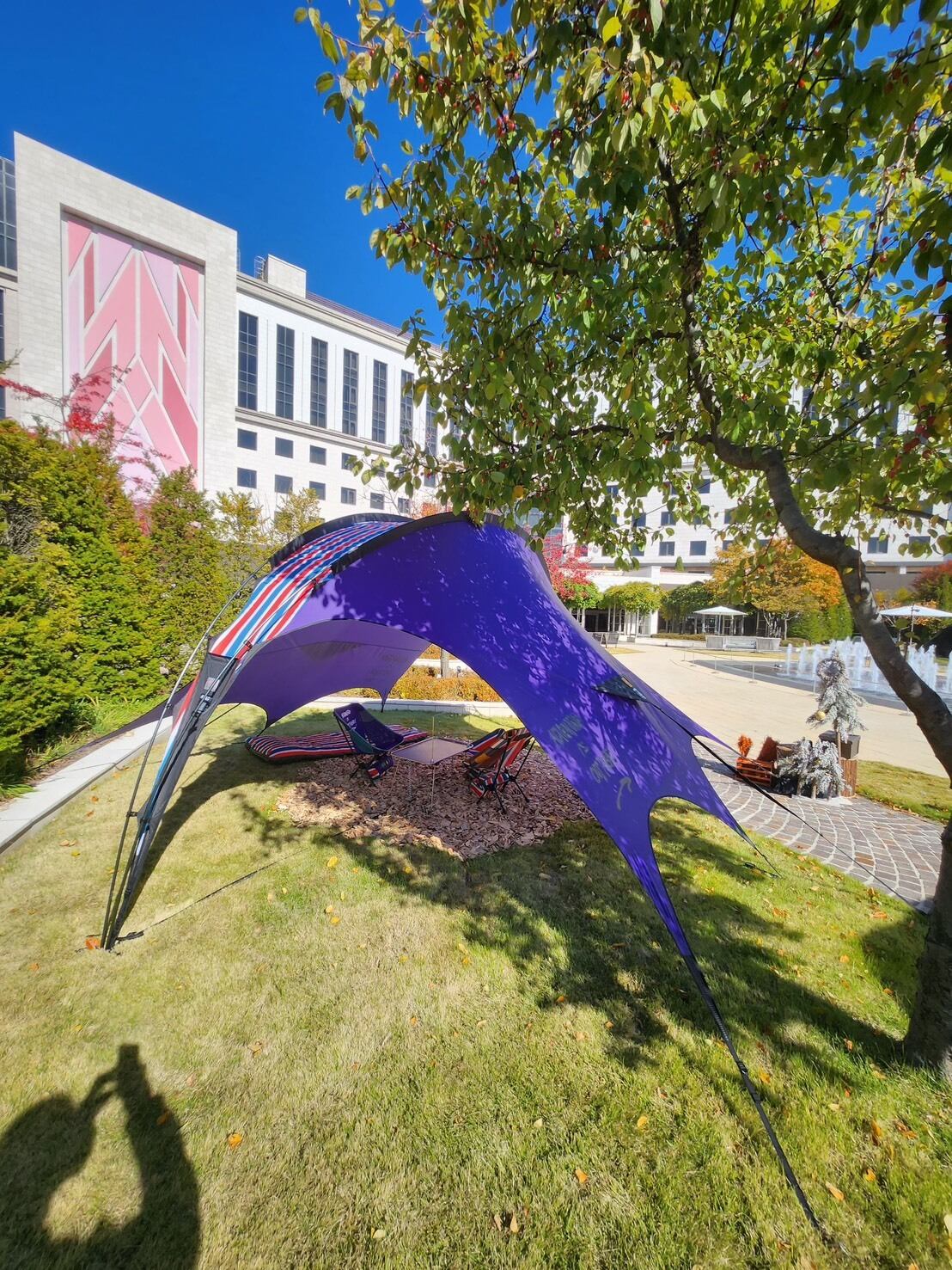 DRAGON FLY TARP」NATAL DESIGN×HELLOS FACTORY | Camp Shop Lantern