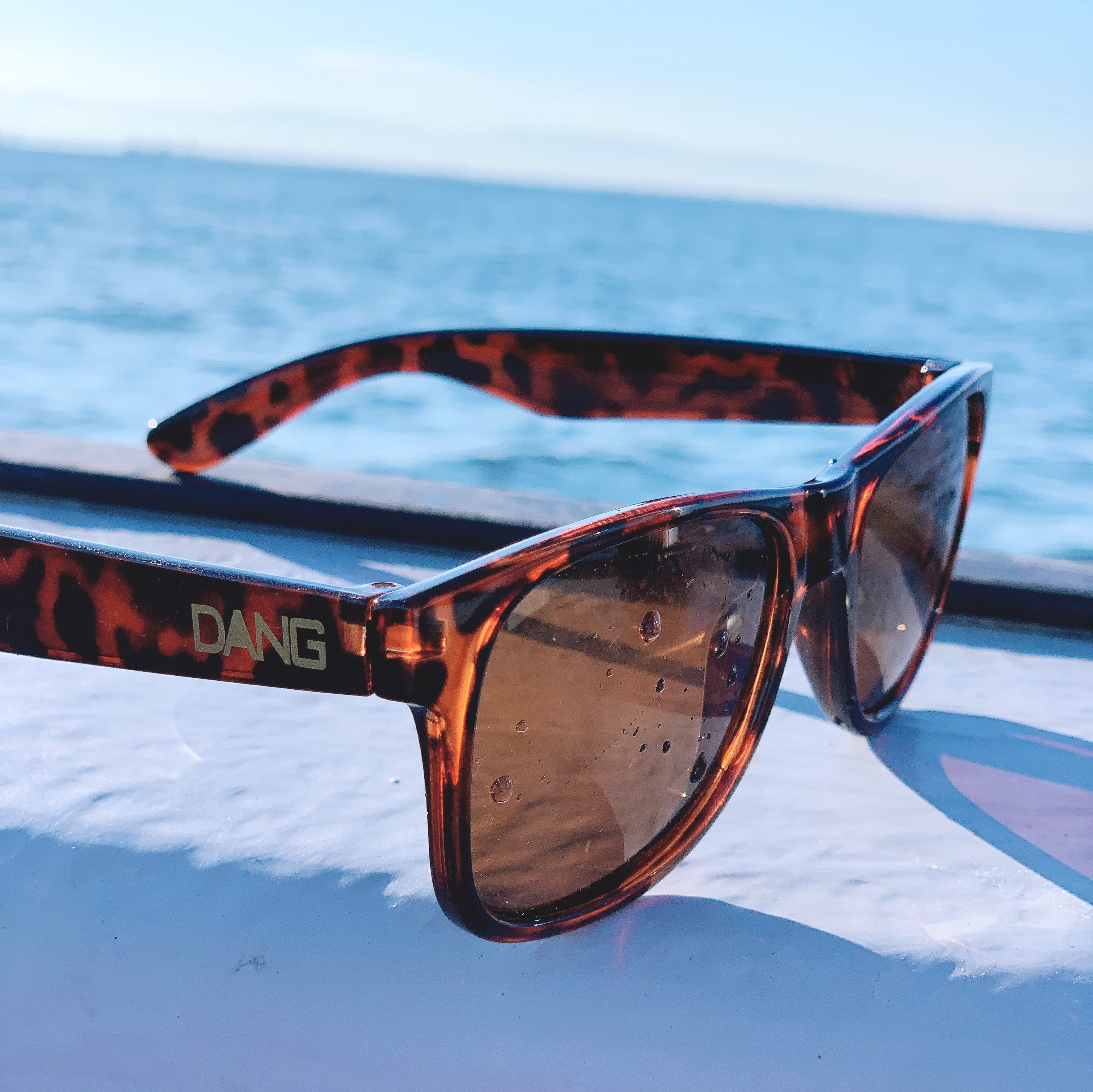 Dang Shades × West Marine コラボサングラス ベッコウ Amber | westmarine