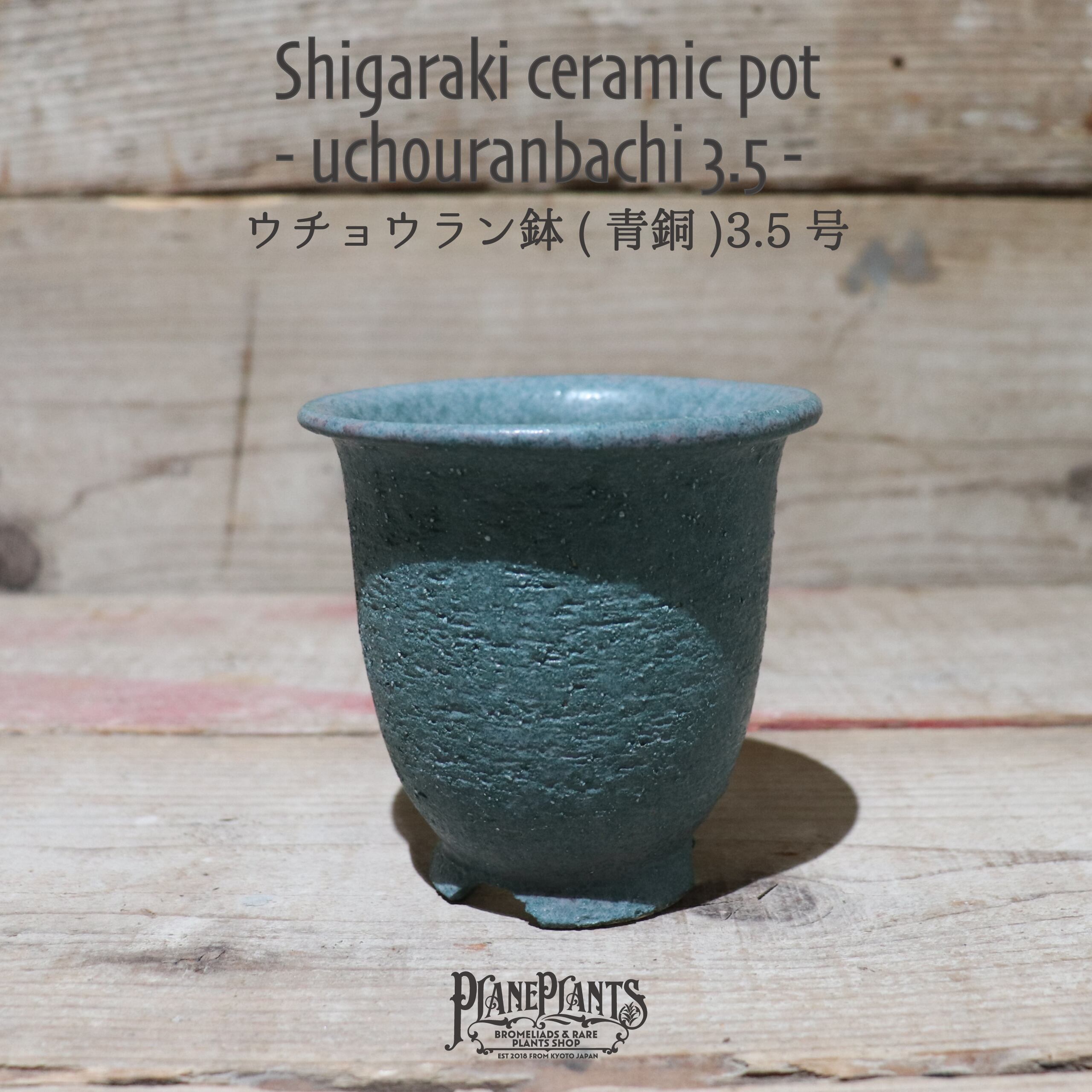 送料別】青銅ウチョウラン鉢 3.5号〔信楽焼〕 | plane plants
