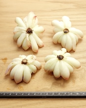 カット苗 ジュリエット 【日本初上陸？！】 Echeveria 'Juliet'