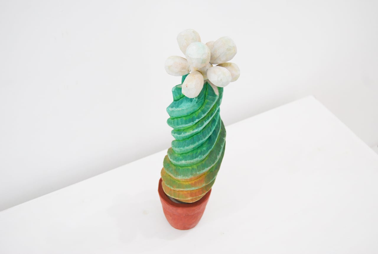 山崎悠人｜サボテン | kohtoh online store