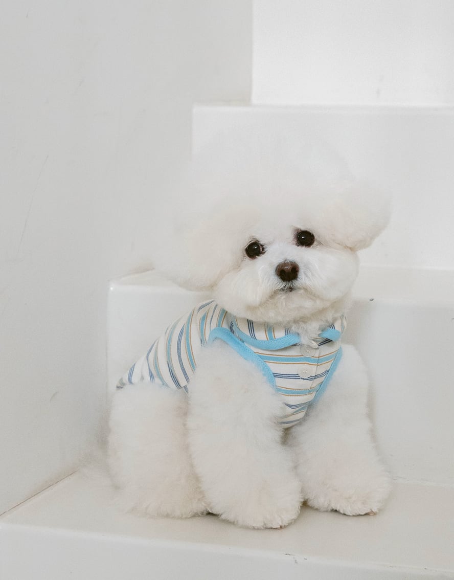 予約【noutti】Jerry Sleeveless Top – Sky