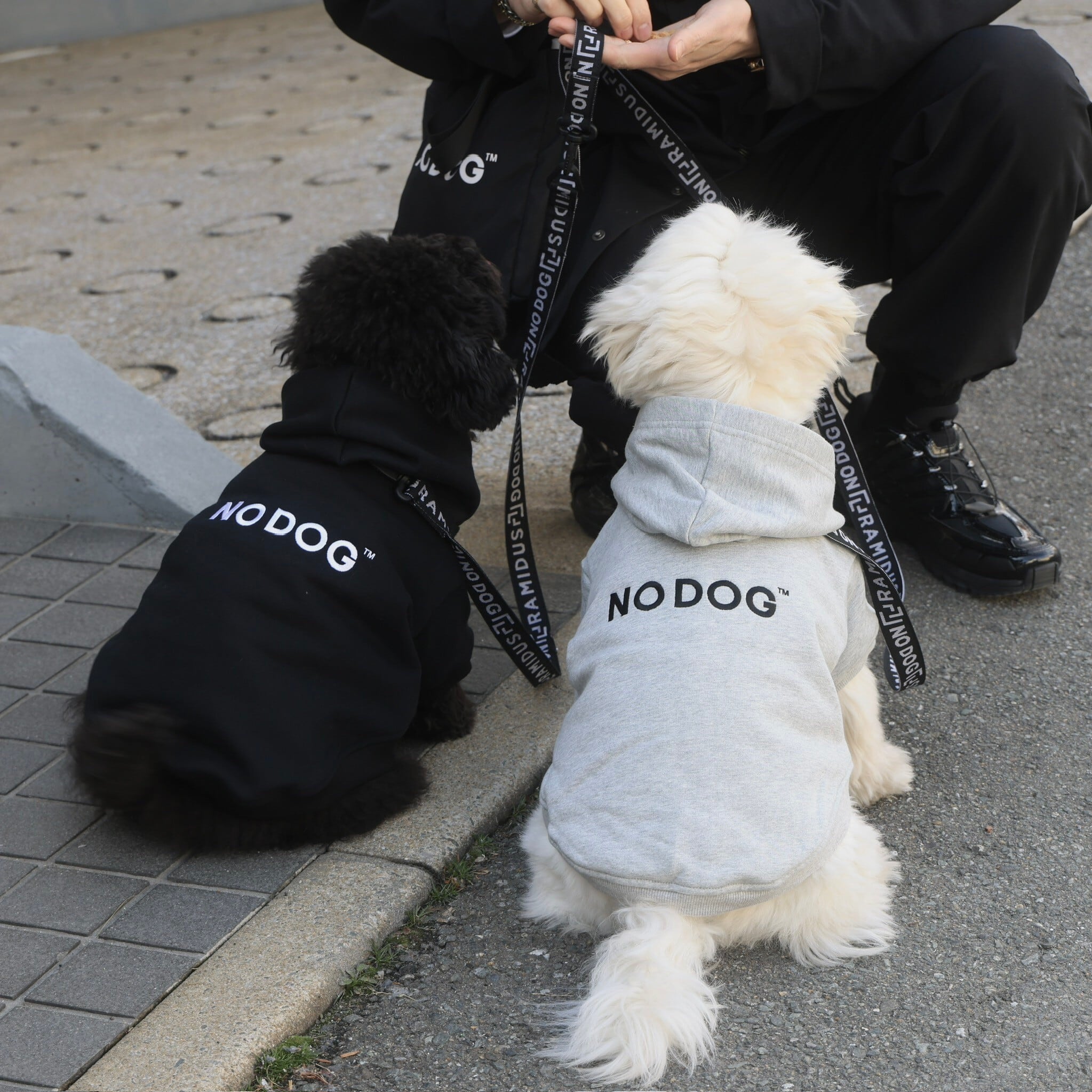 NO DOG 犬服 パーカー | NO COFFEE