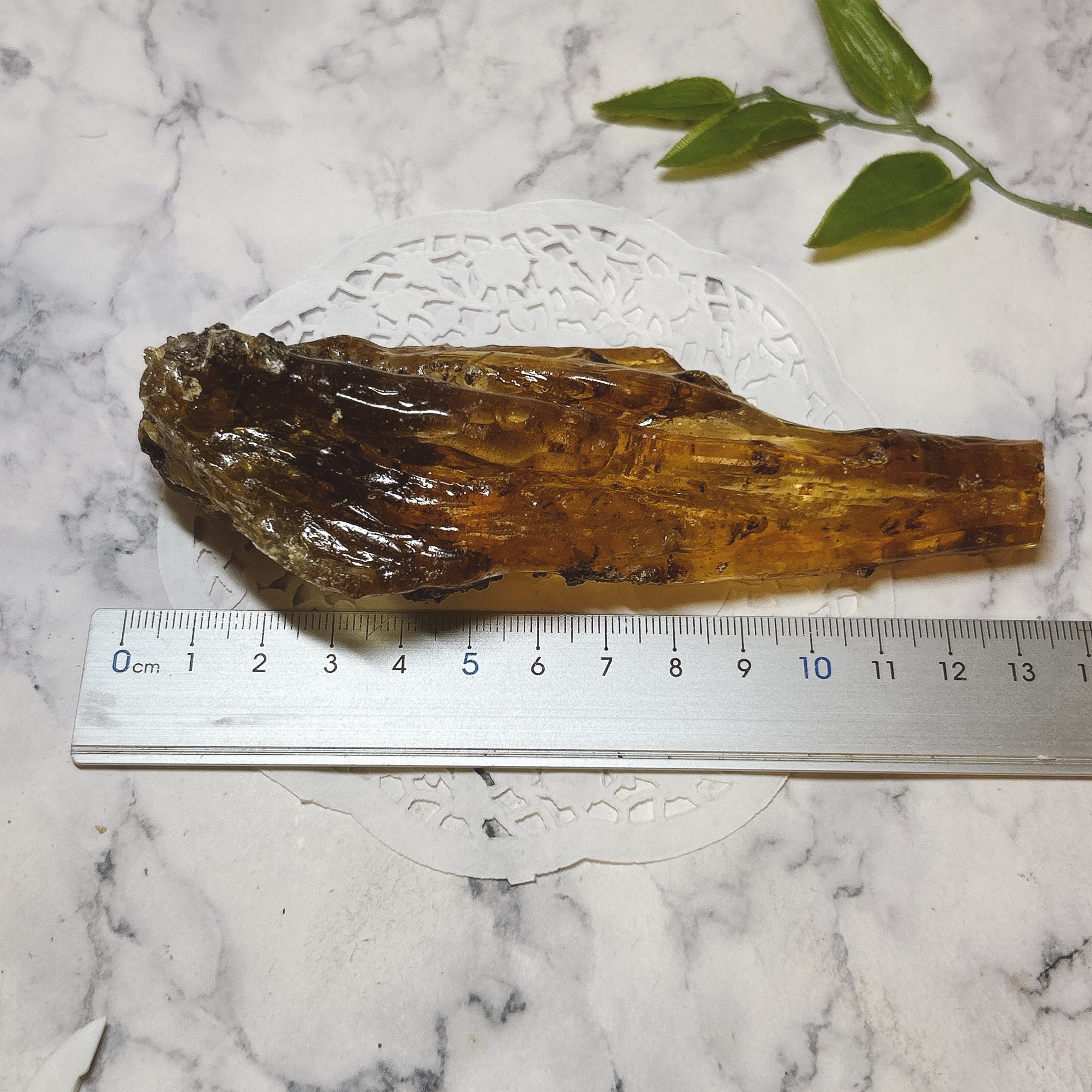 化石]琥珀・アンバー | クリスタル・ワールド御徒町店